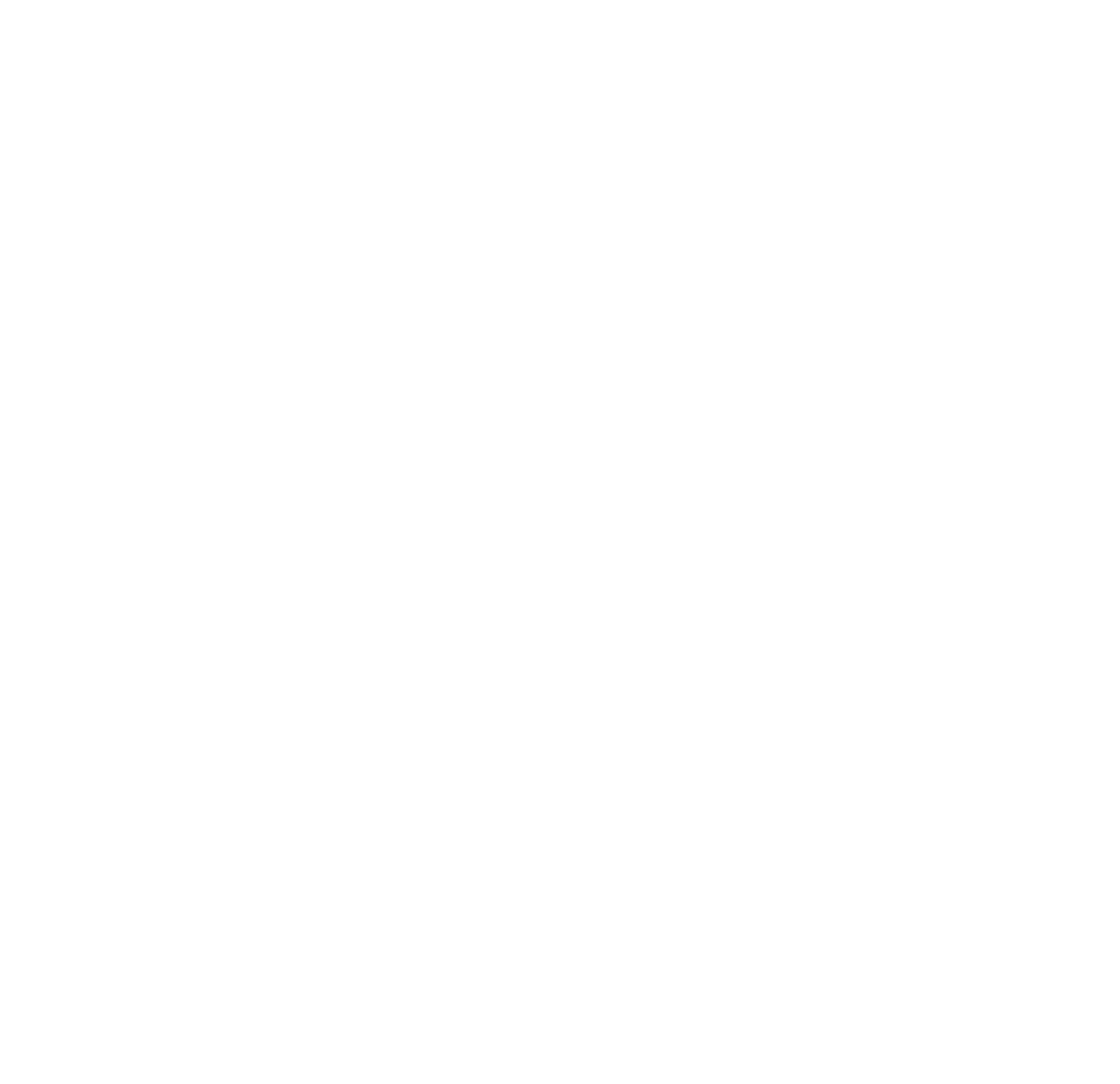 INTO THE VORTEX
