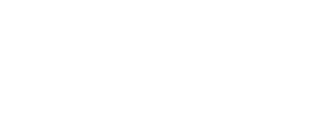 Trillium Partners (Copy)