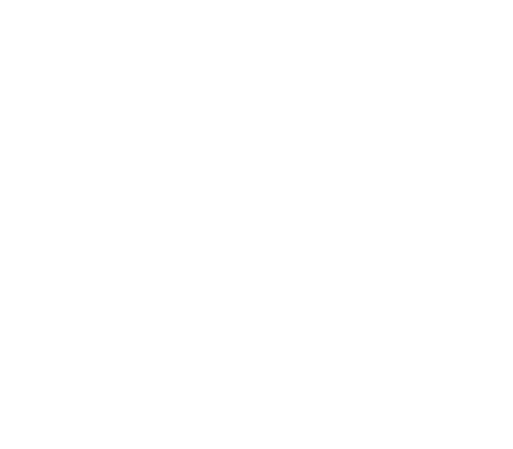 The Riot Within