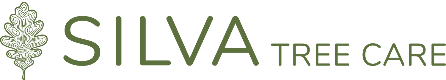 Silva Tree Care