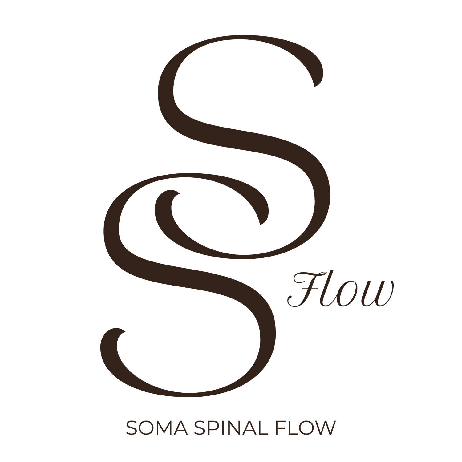 Soma Spinal Flow