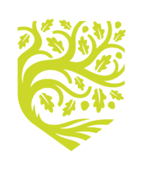 Martin's Trees & Landscaping