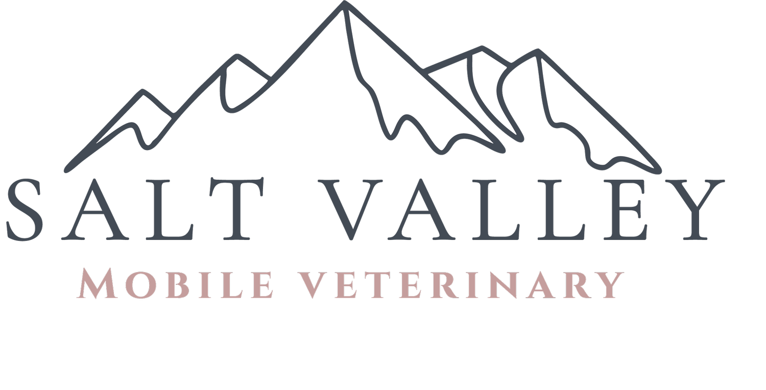 Salt Valley Veterinary Care