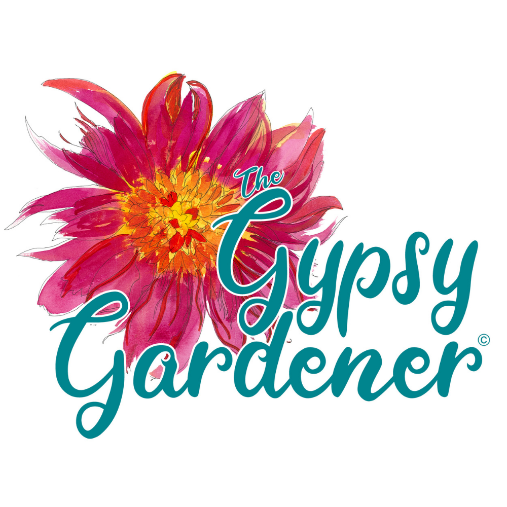 Gypsy Gardener