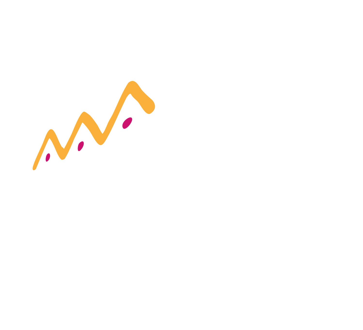 IMPACT INVESTING SENEGAL