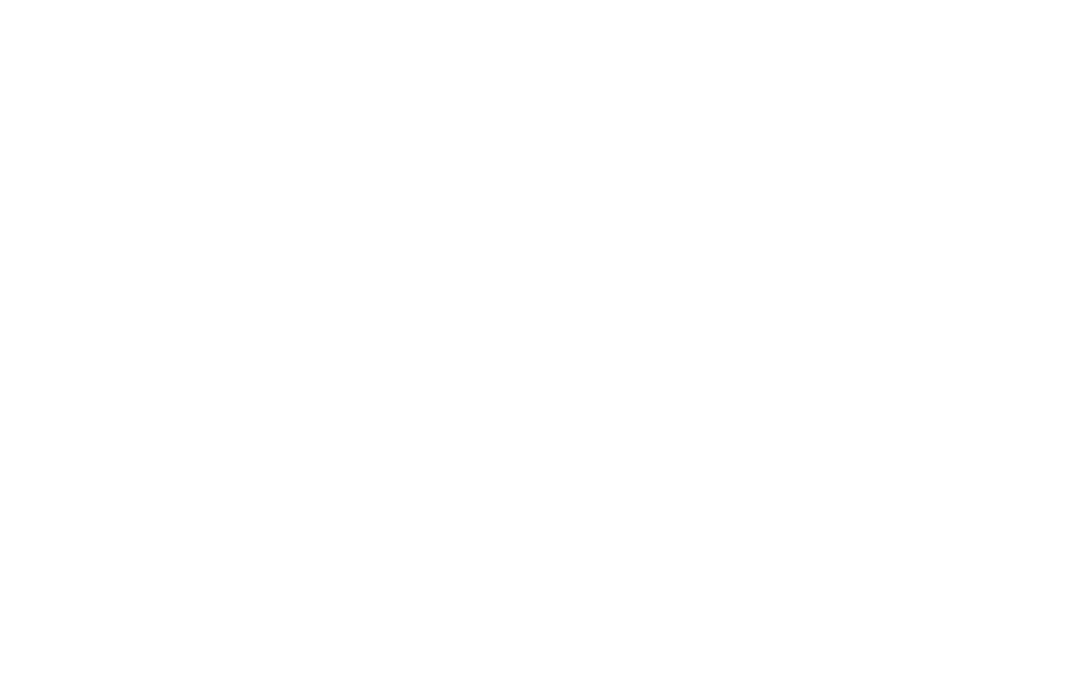 Varsity Bound Rowing | Boutique Coaching & Recruitment Guidance