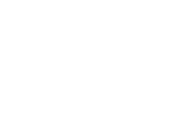 Iconique by Elena Lee