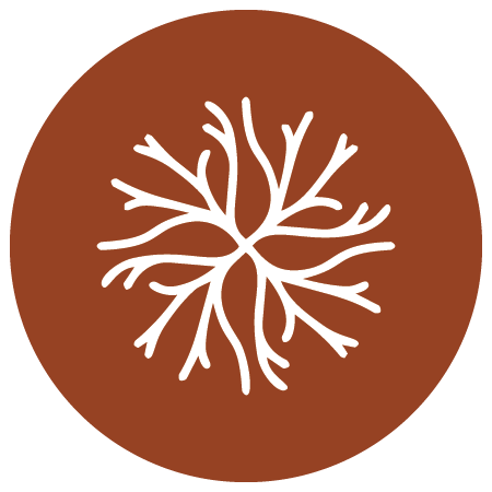 GingerRoute Counselling