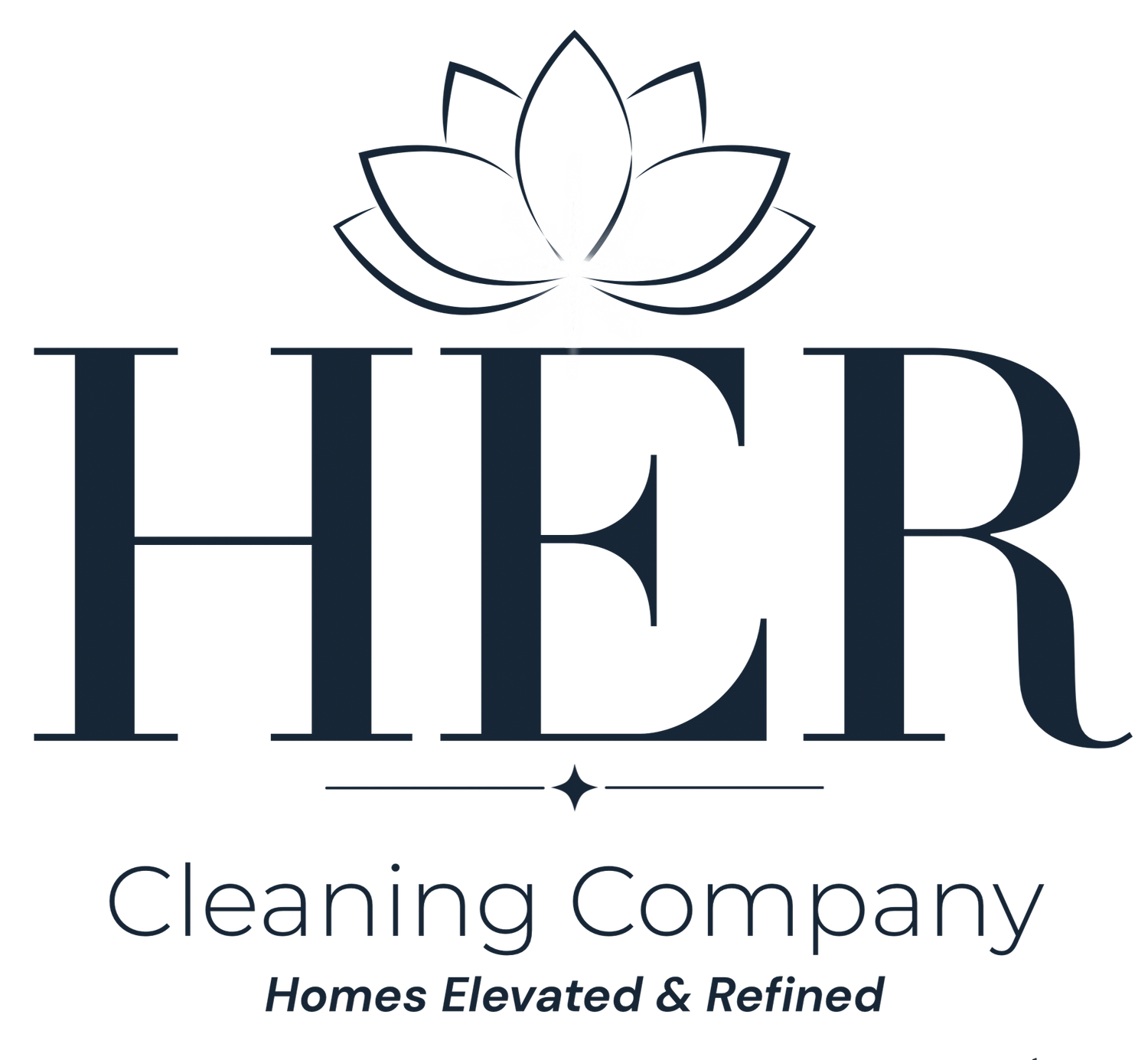Minneapolis Residential cleaning company