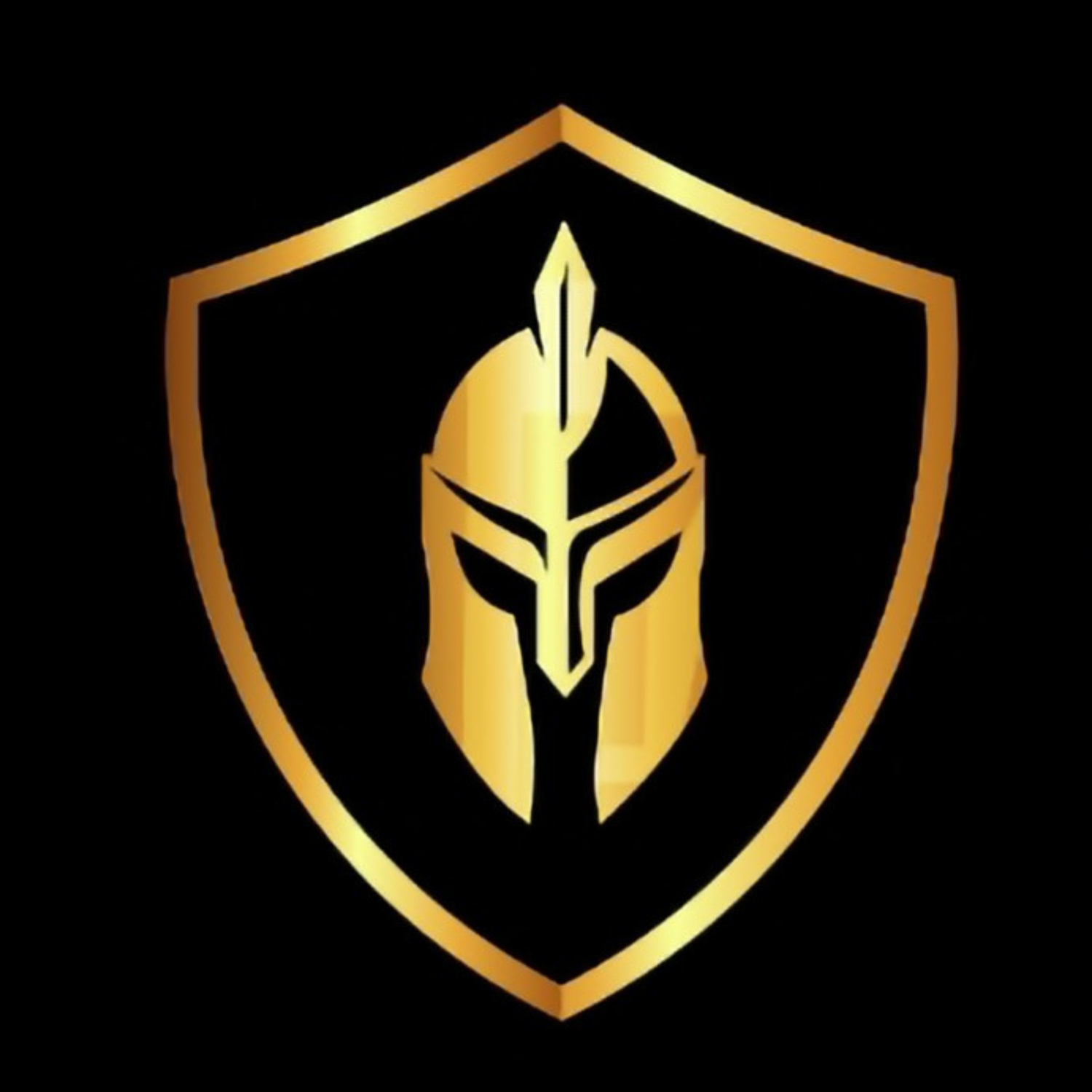 Armor Exterior Services