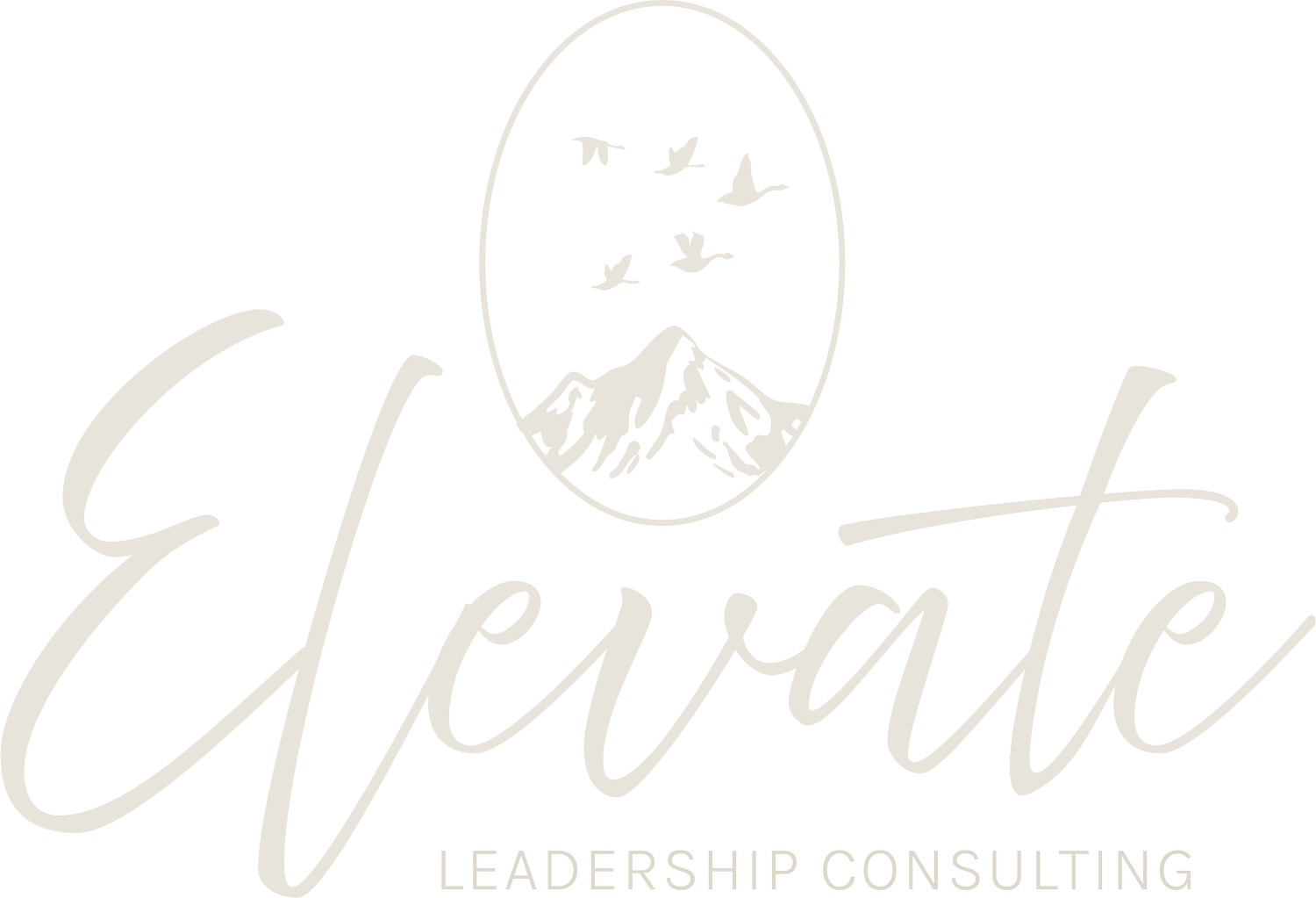 Elevate Leadership Consulting