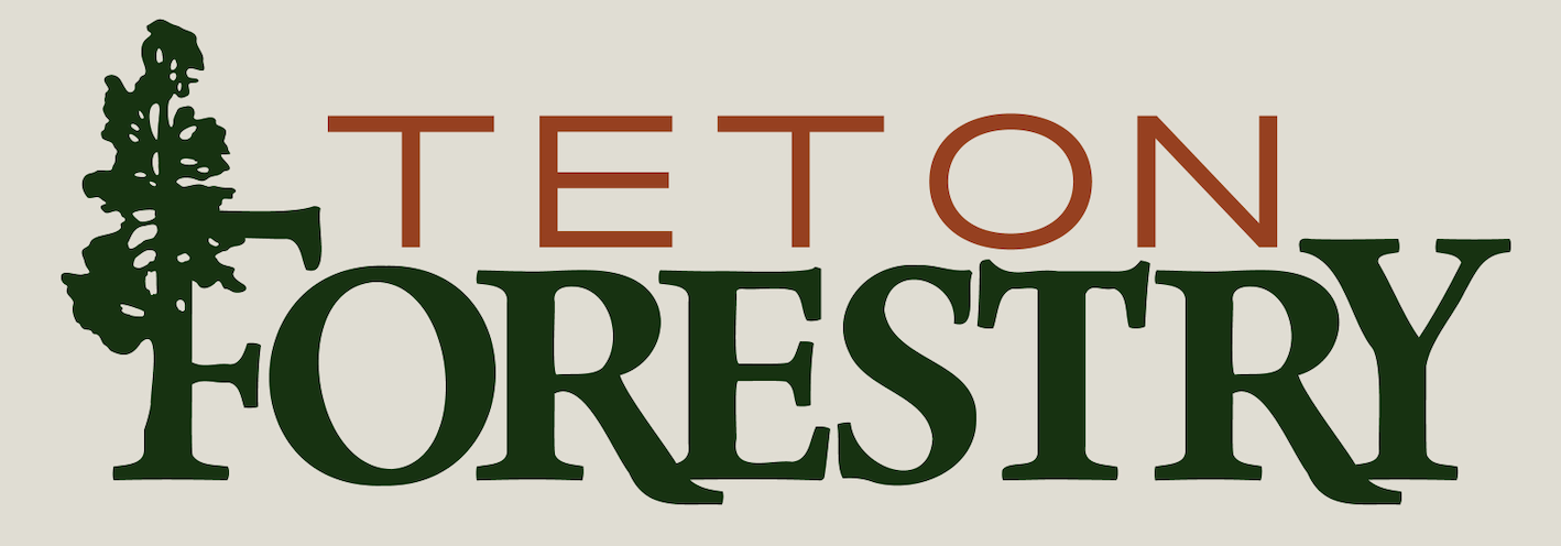Teton Forestry