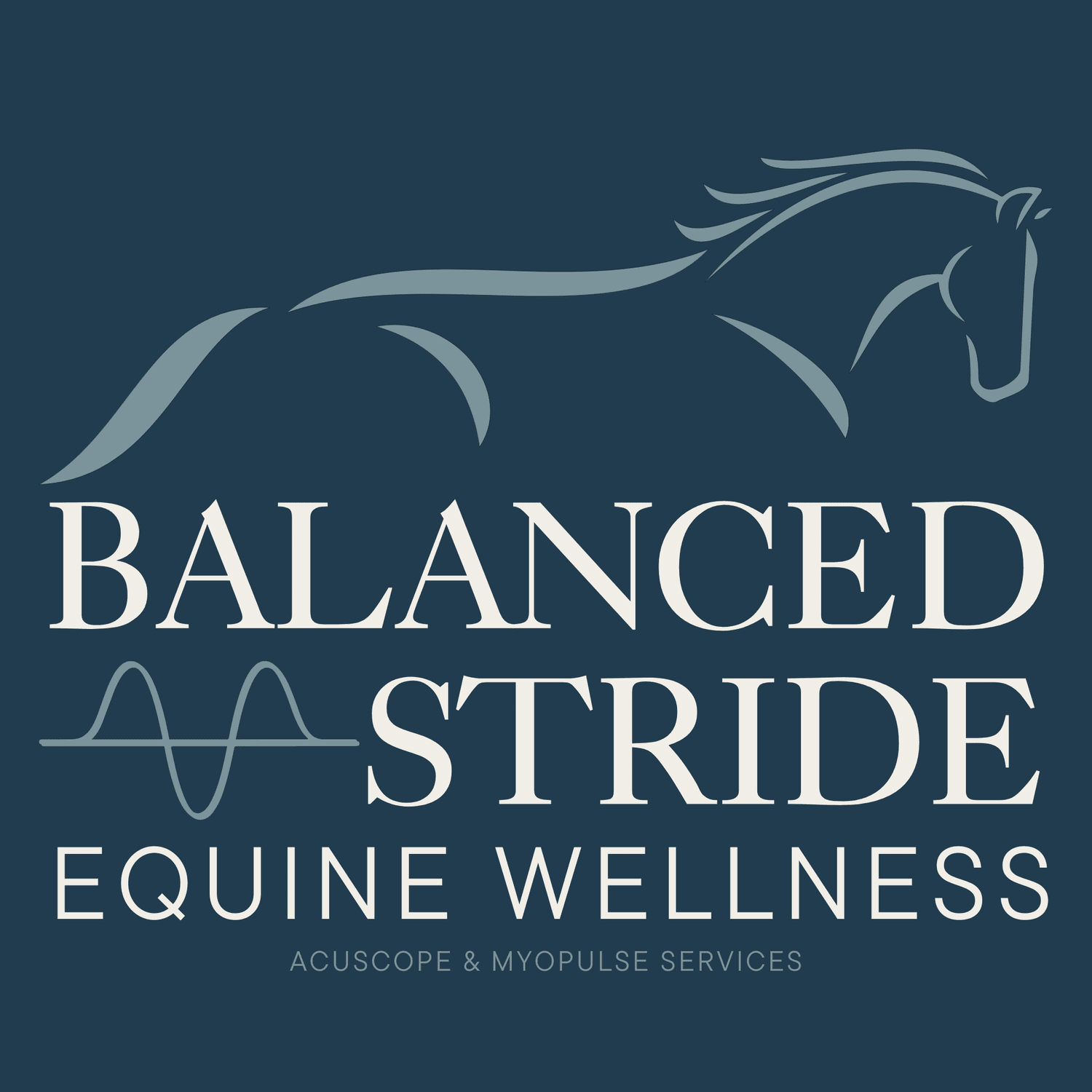 Balanced Stride Equine Wellness