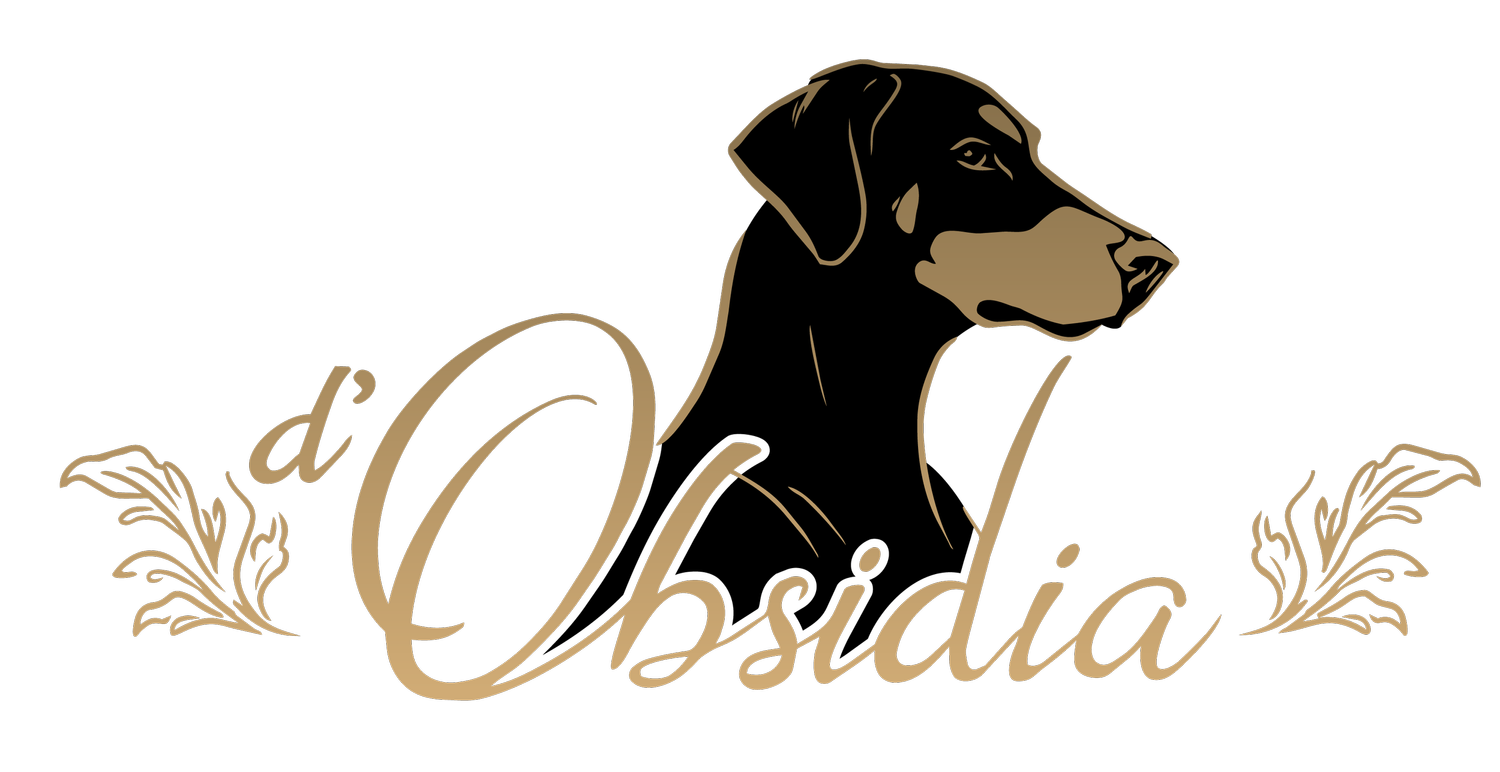 d'Obsidia