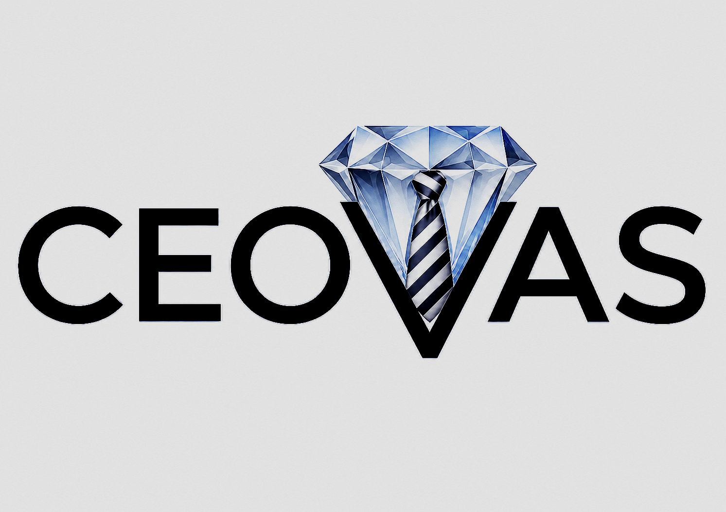 Ceovas CEO Virtual Admin Services