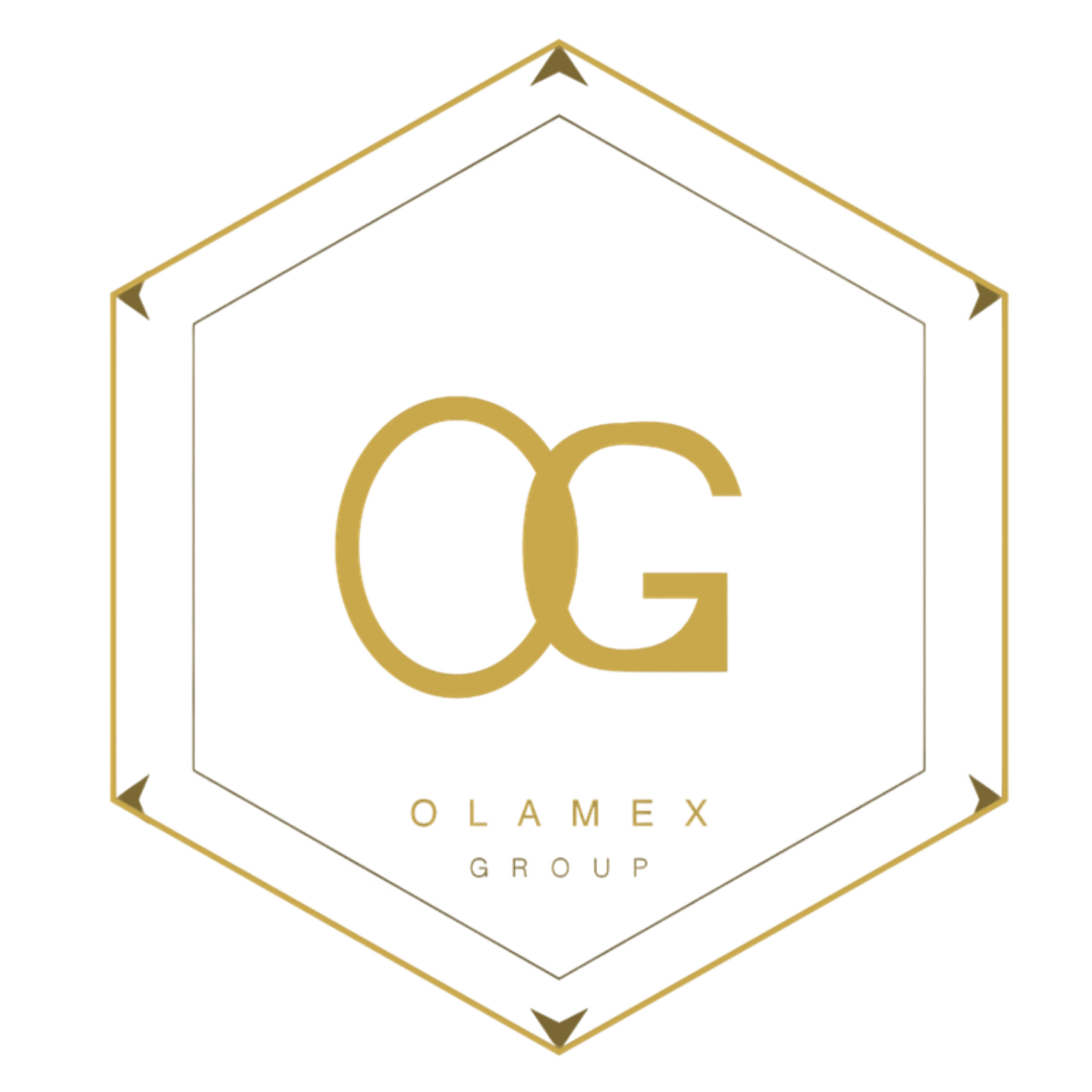 Olamex Group