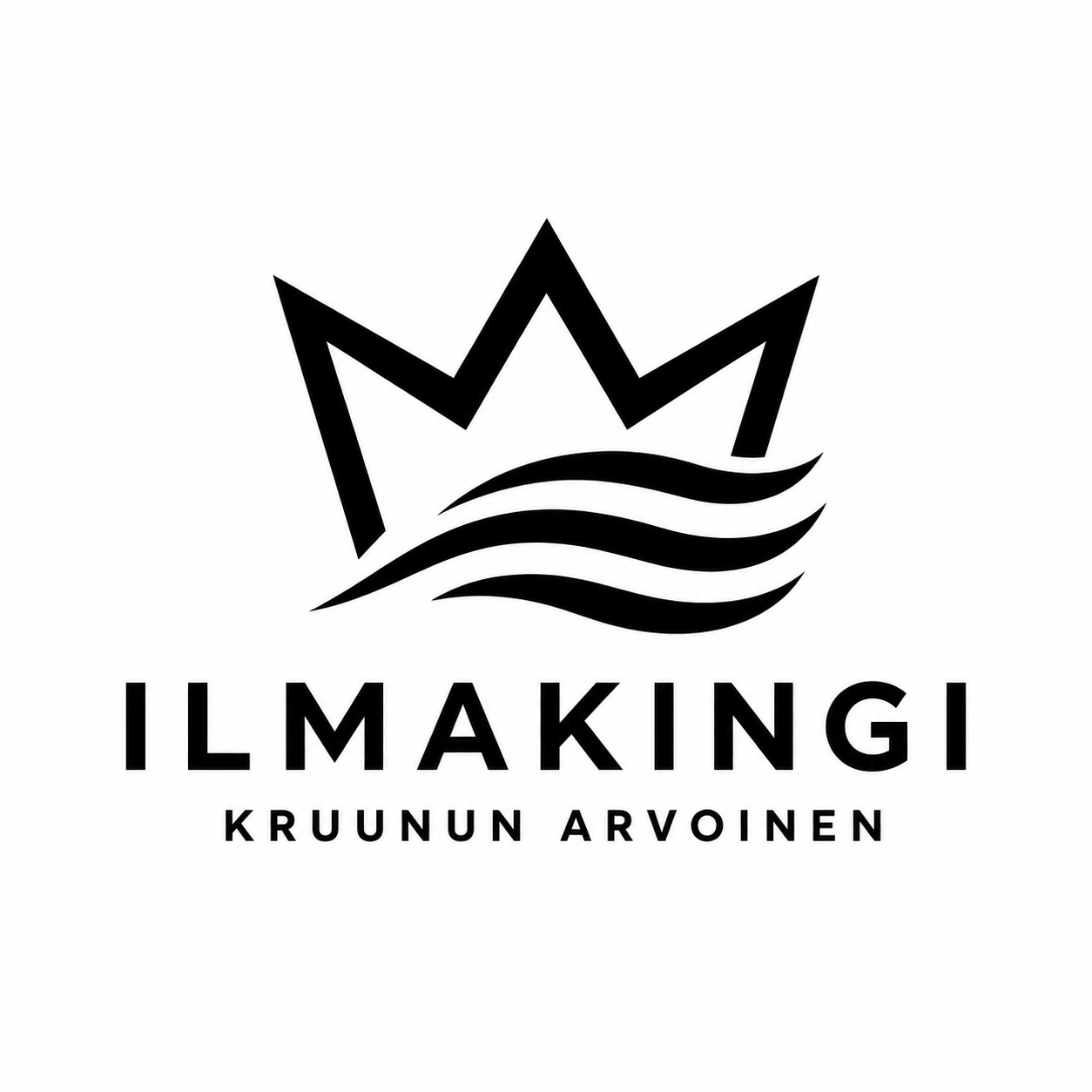IlmaKingi Oy