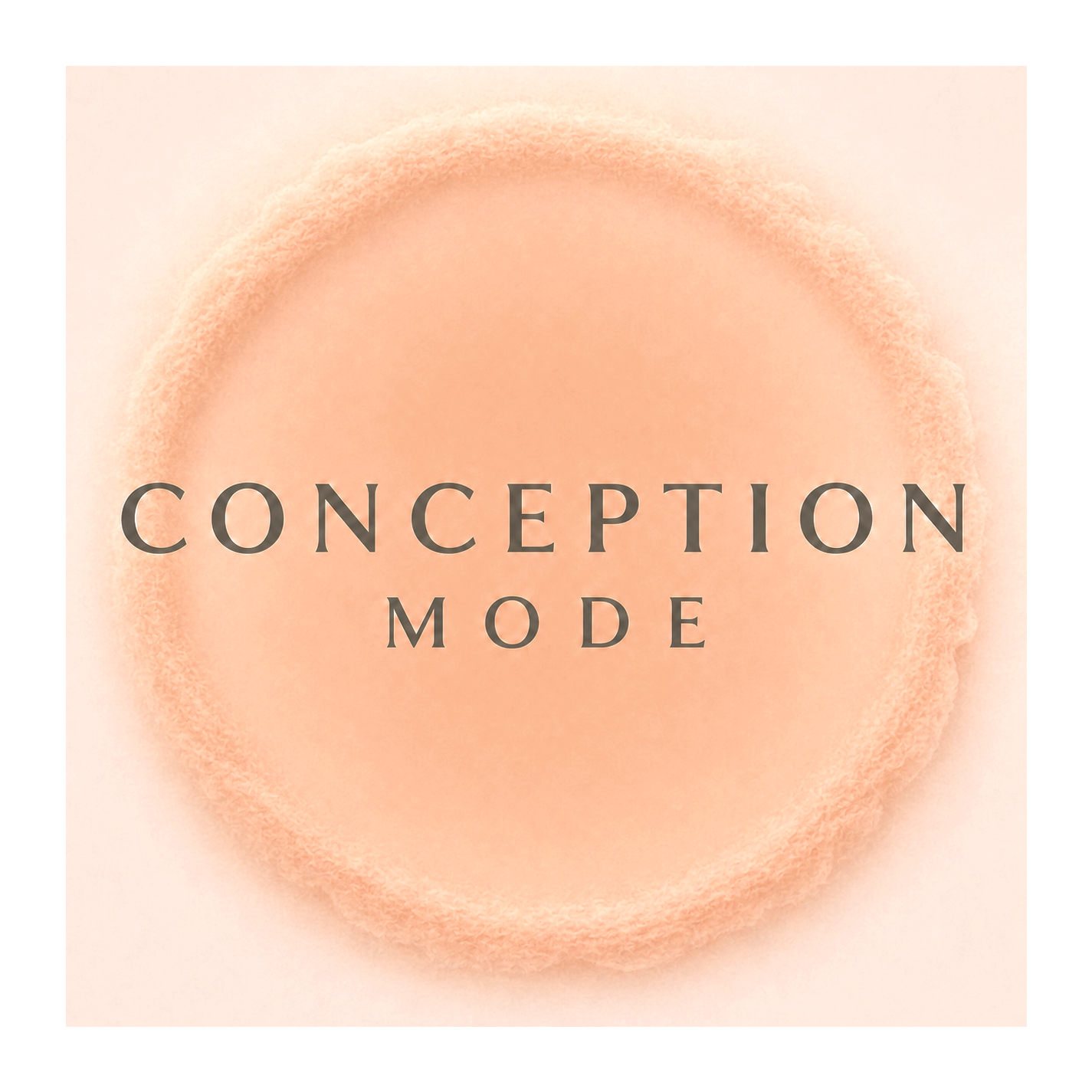 CONCEPTION MODE