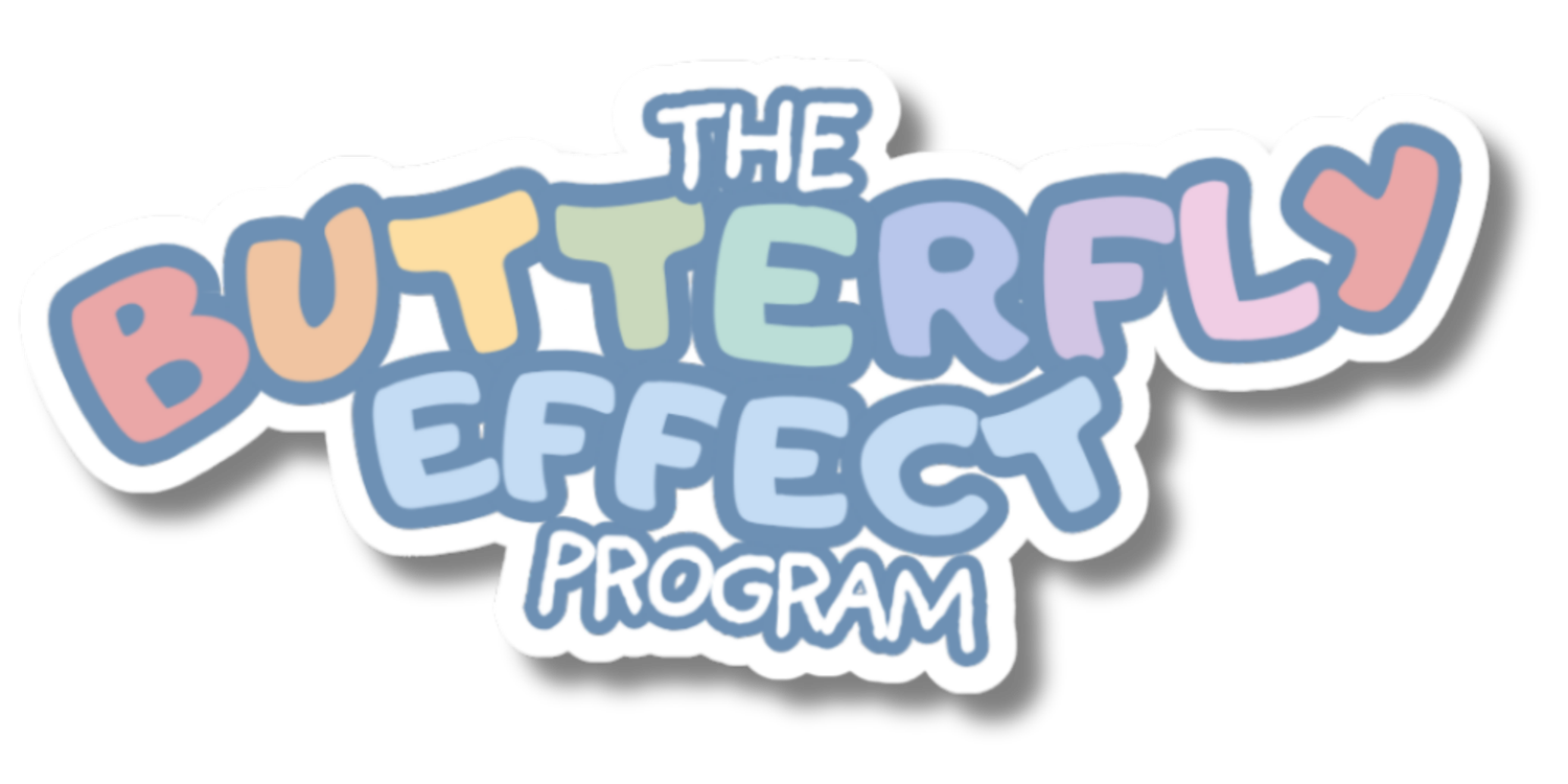 The Butterfly Effect Program
