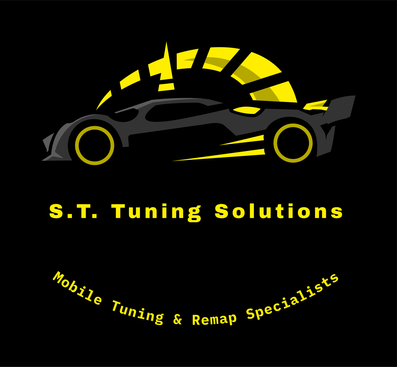 S.T Tuning & Remapping Services