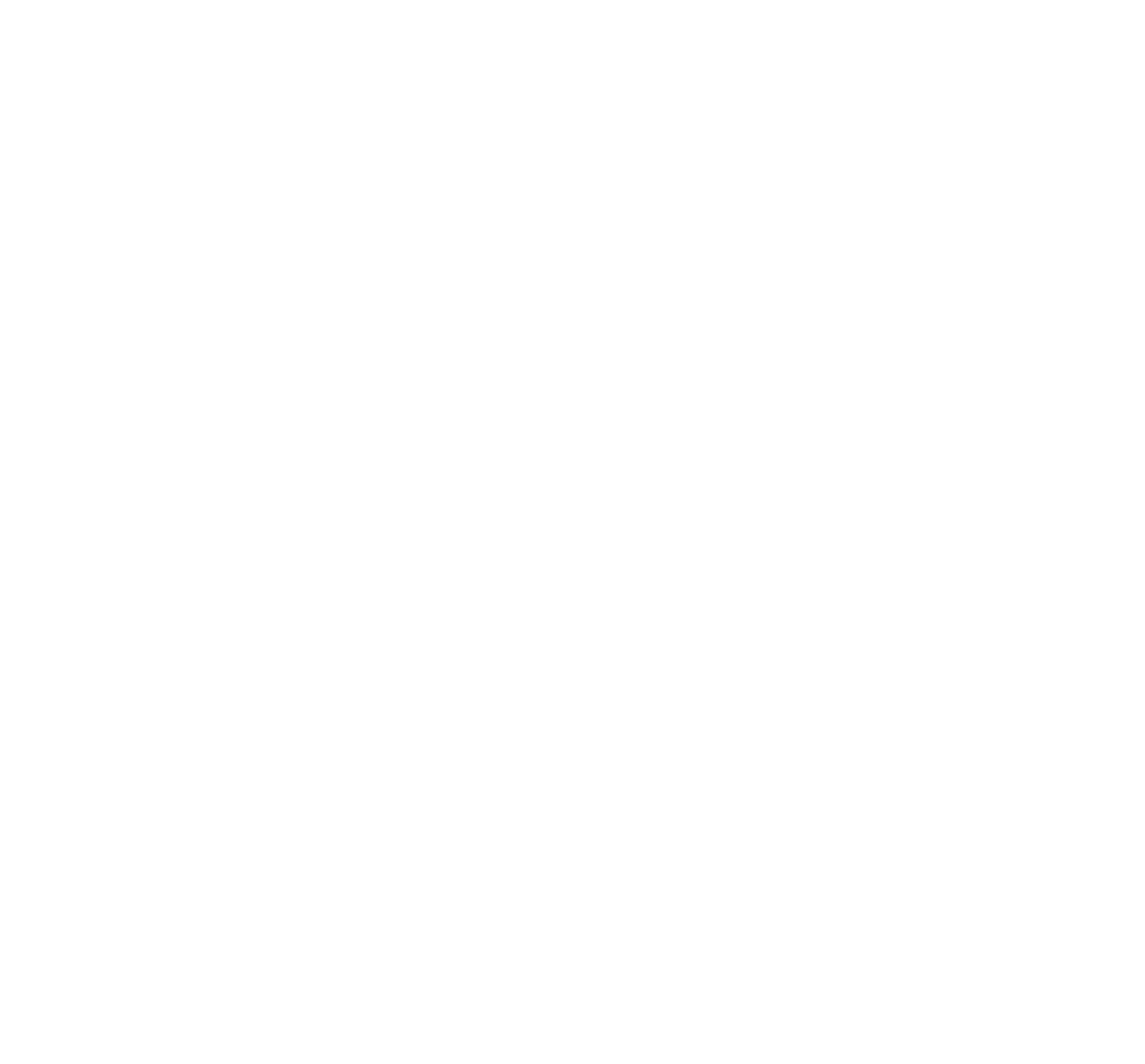 ENGINE RACE