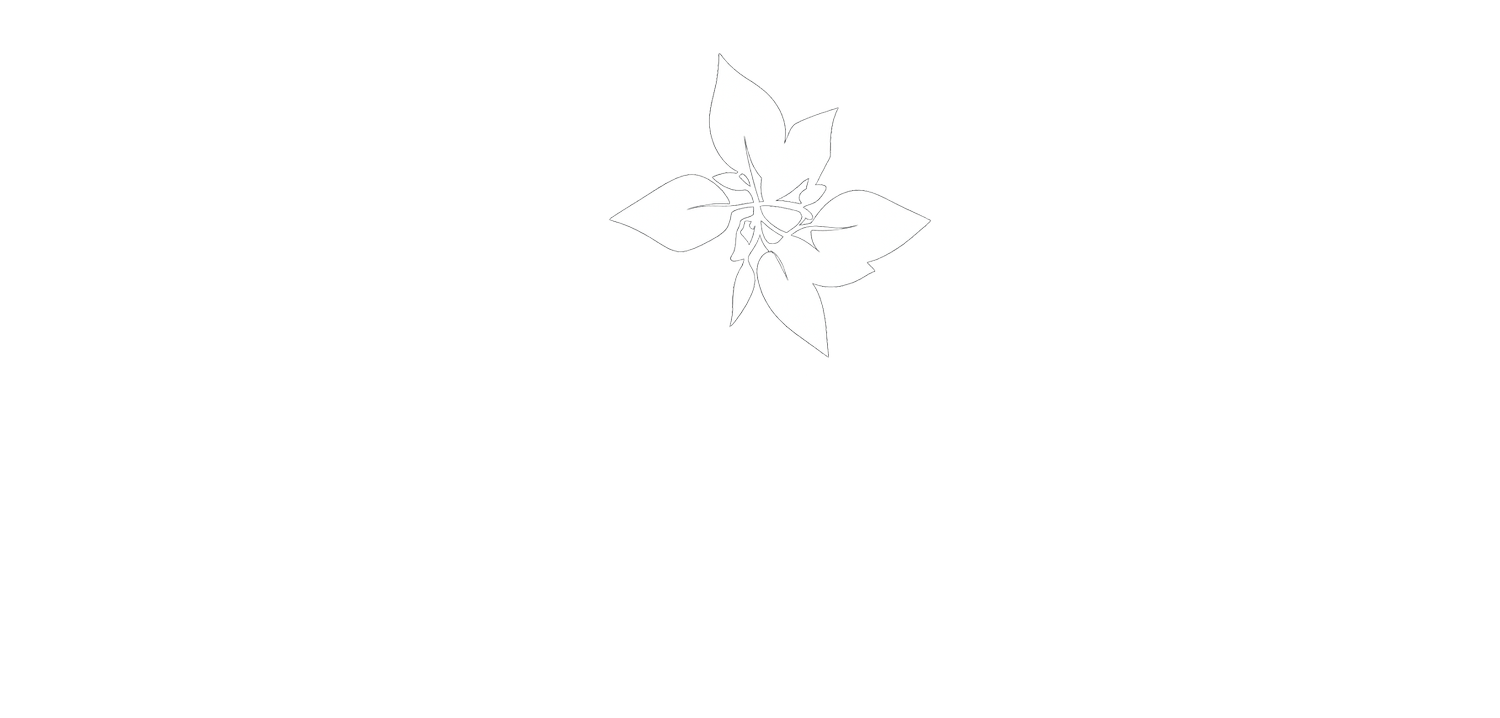 Your Site Title