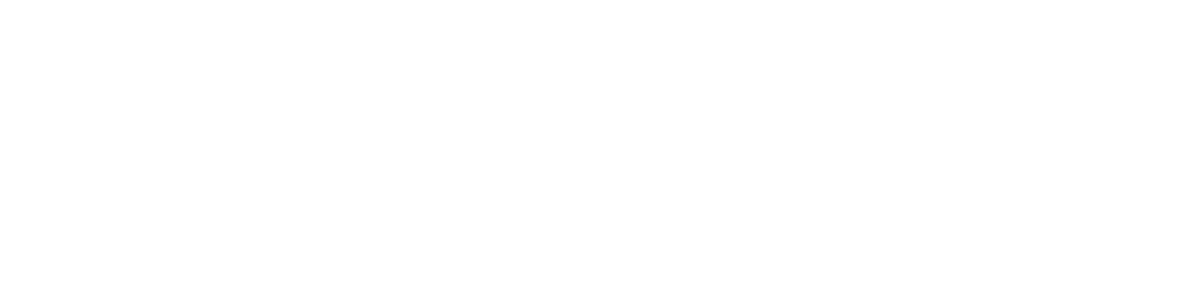 THE CONFIDENCE CONCEPT