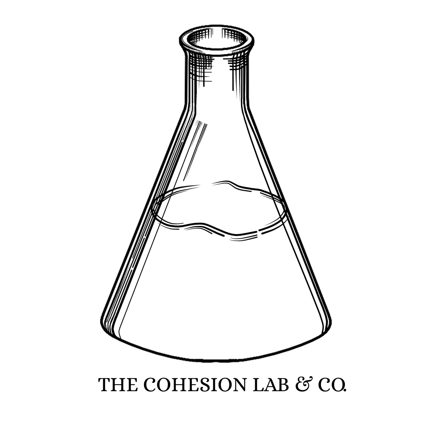 The Cohesion Lab & Co.