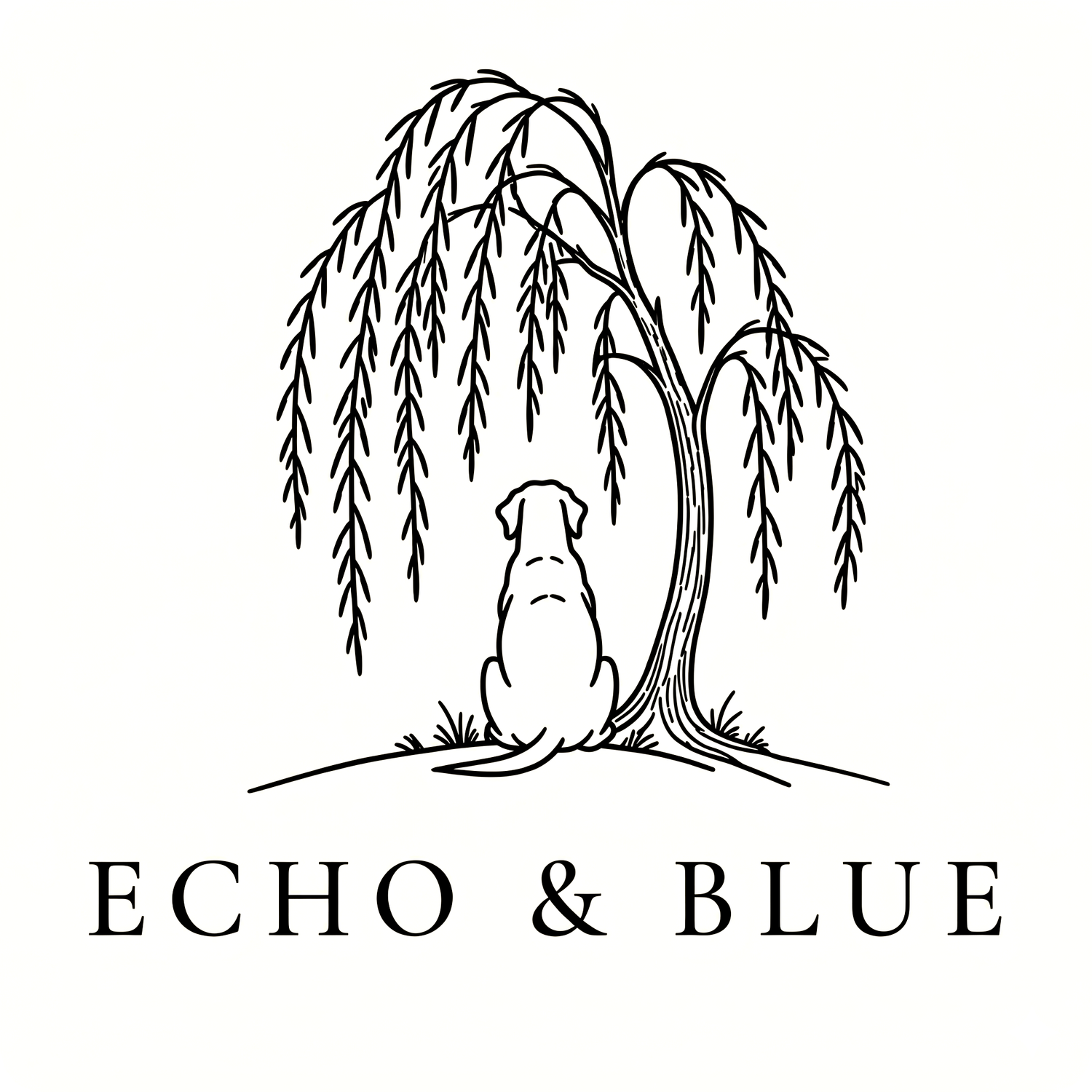 ECHO & BLUE