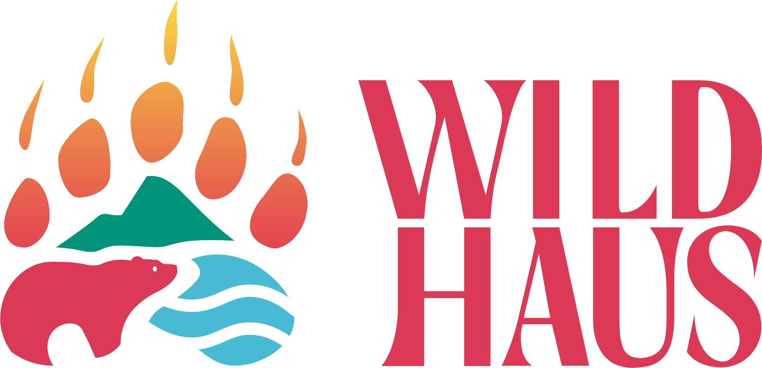 Wildhaus Creative