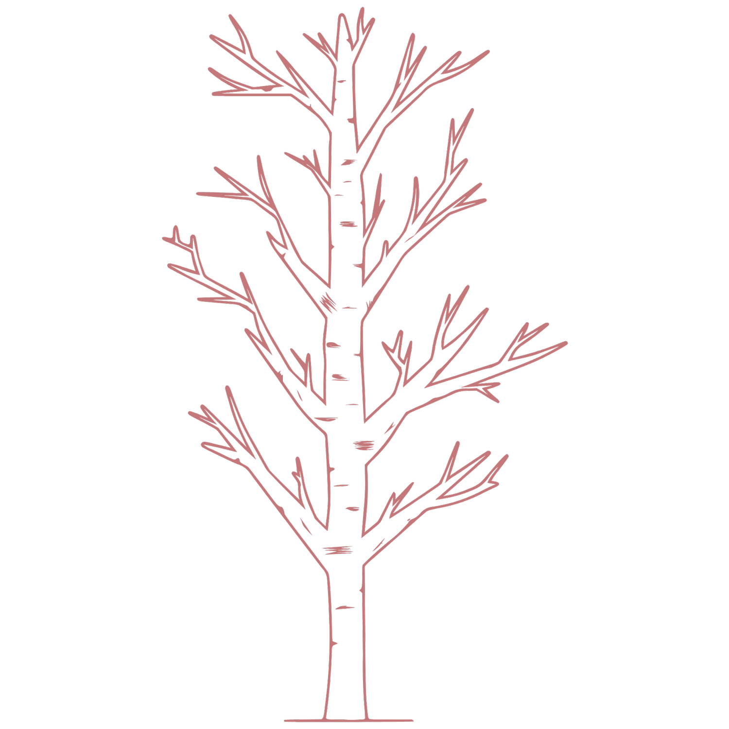 Pink Aspen Advisory