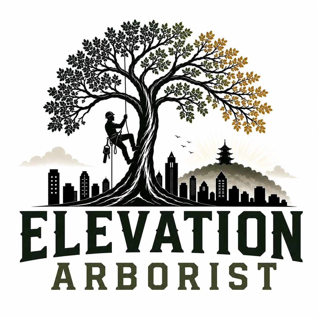 Elevation Arborist LLC