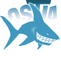 Ostia Surf | Dal 2006