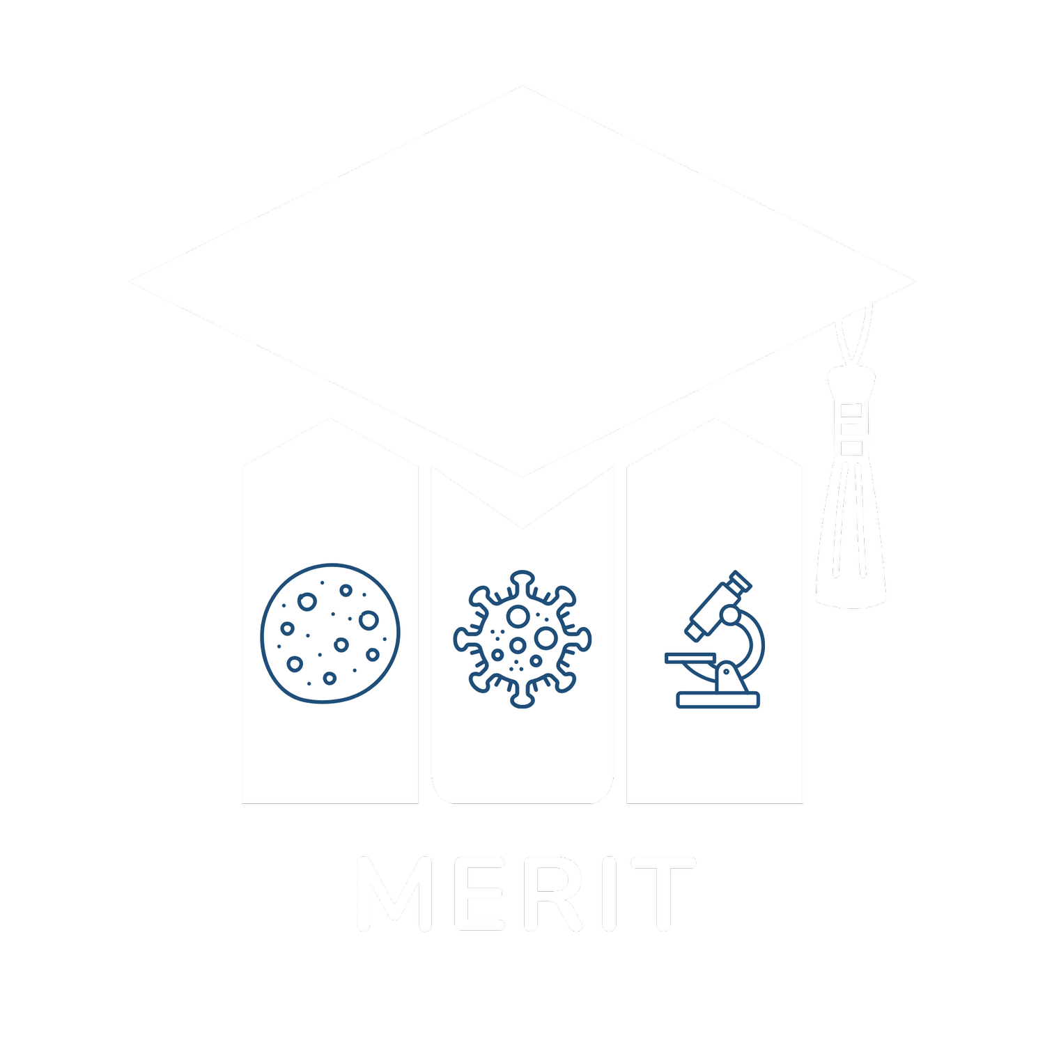 MERIT
