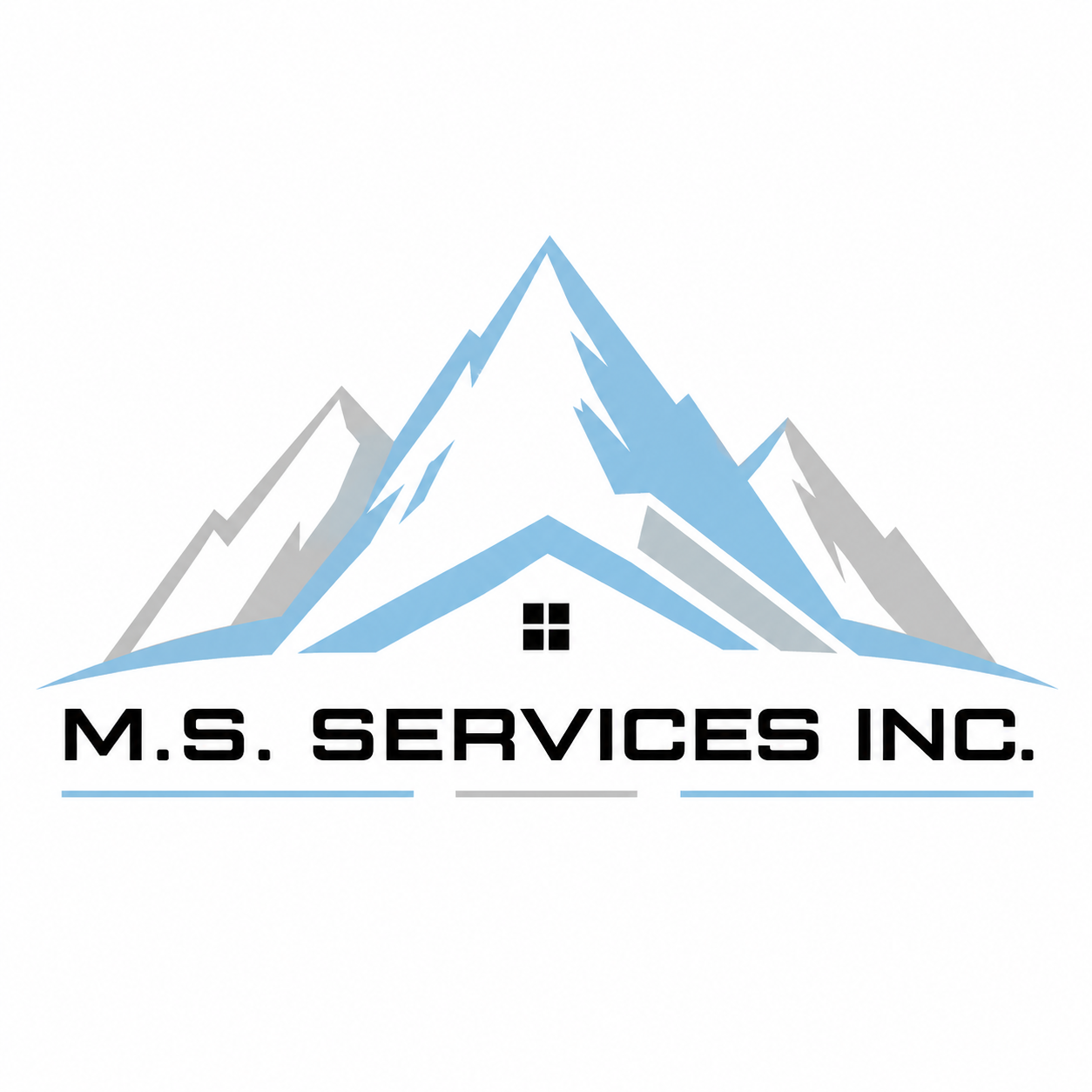 M.S. Services Inc.