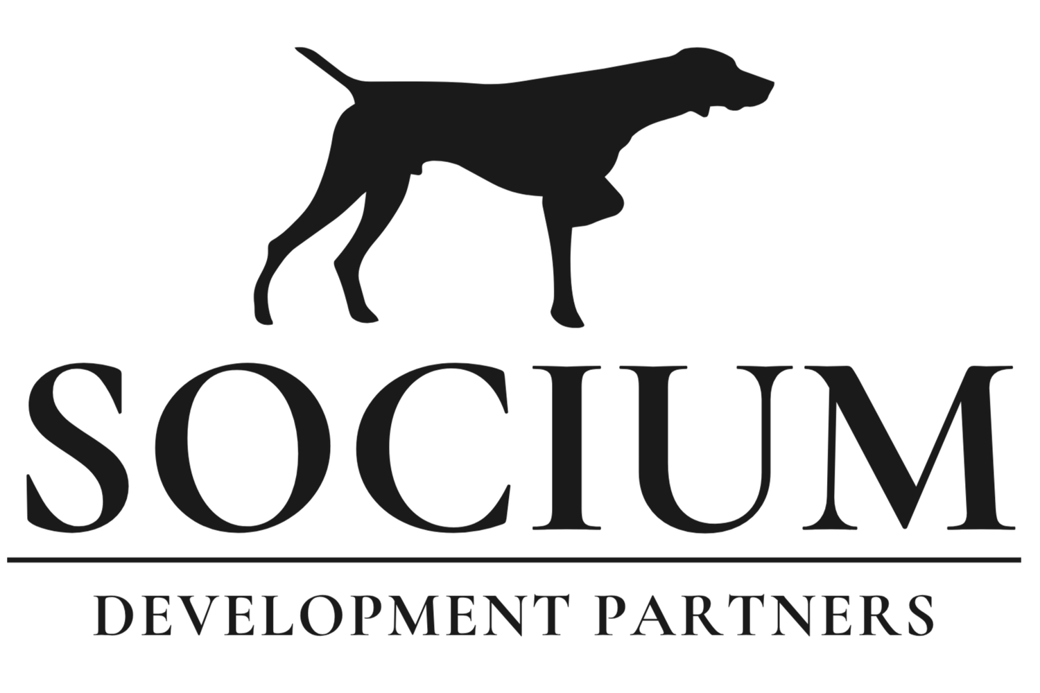 Socium Development Partners