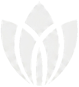 Illumina Investments