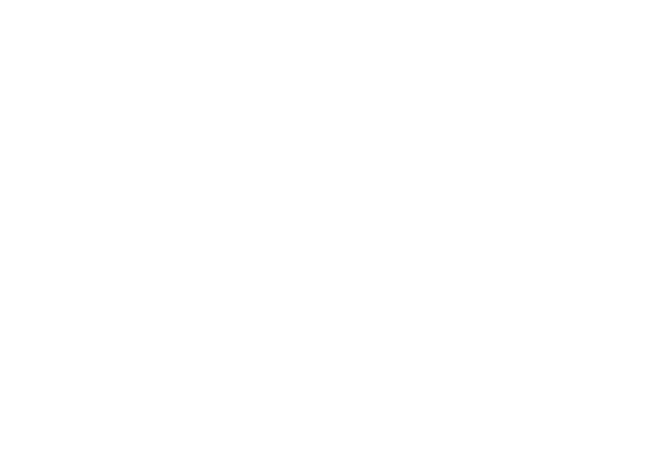 Vintage View Adventures