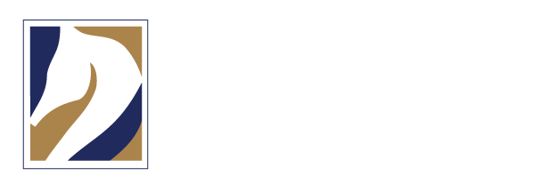 SALT & CANVAS