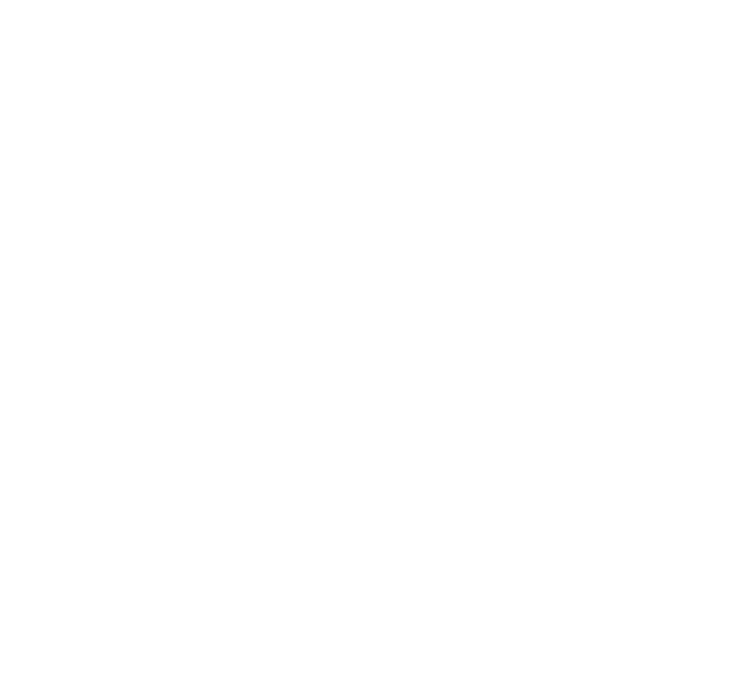 Vela.
