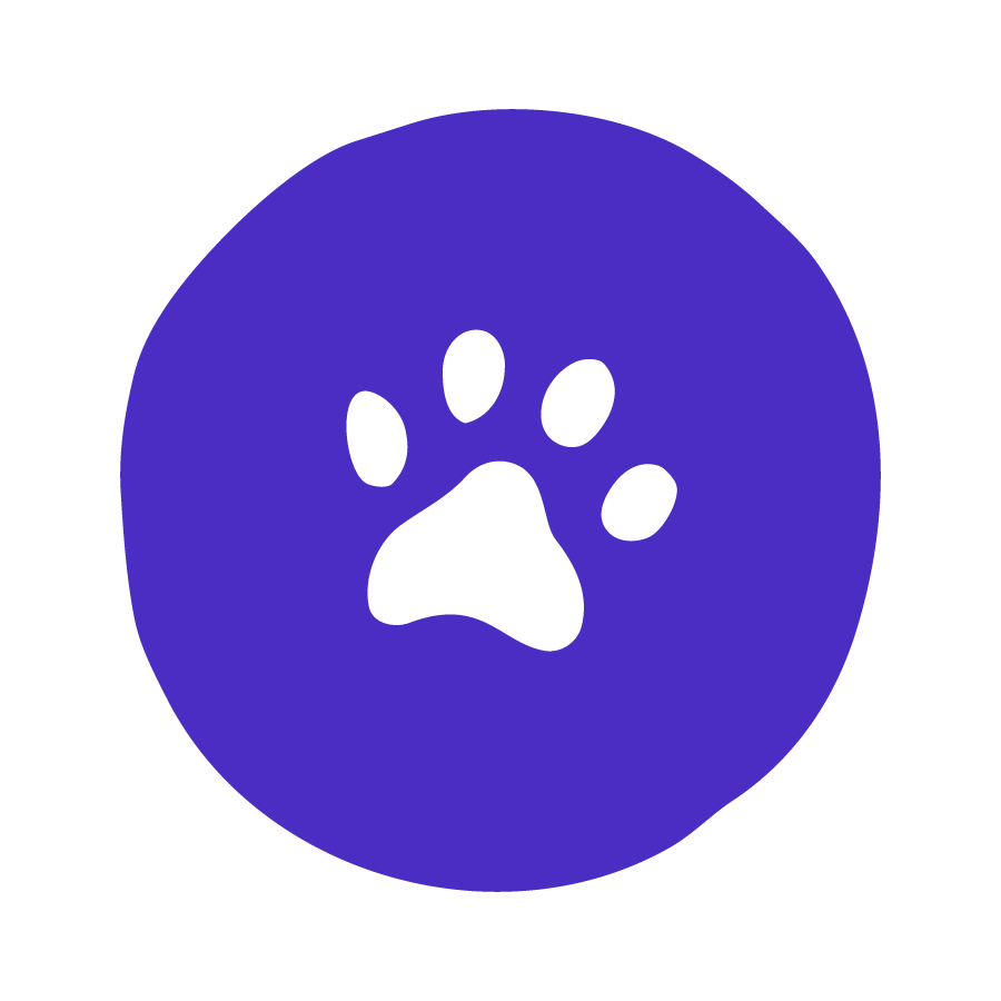 The Pooch Portrait