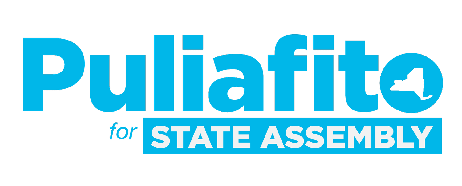 Lou Puliafito for NY State Assembly 76AD