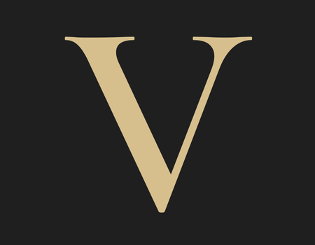 Velyn Operating Partners | Execution Under Pressure