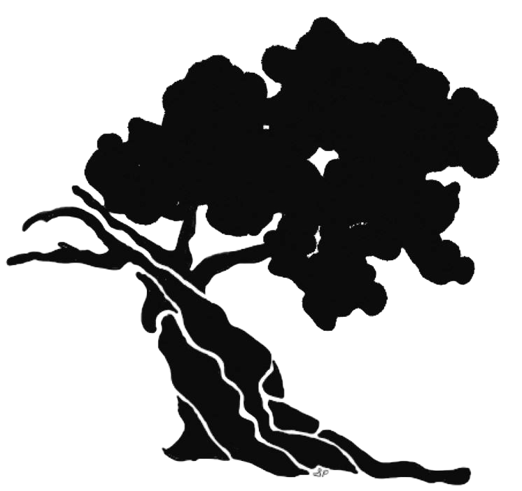 Your Forest Footsteps