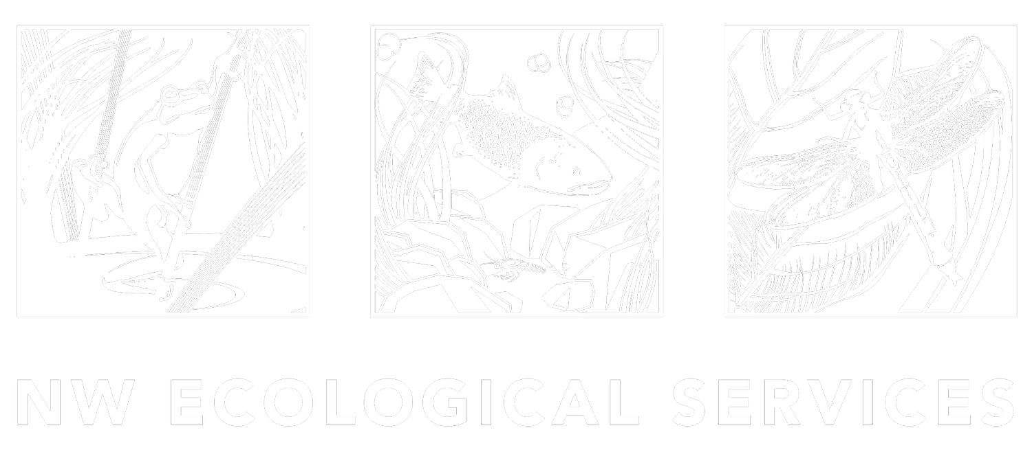 Northwest Ecological Services