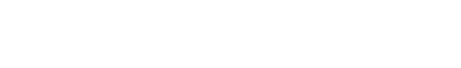Ray America Inc.
