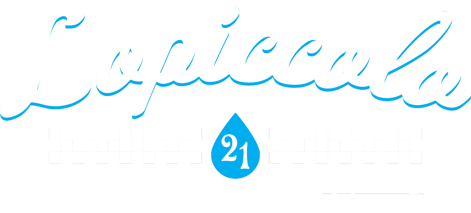 Lopiccolo Service, Repair & Safety