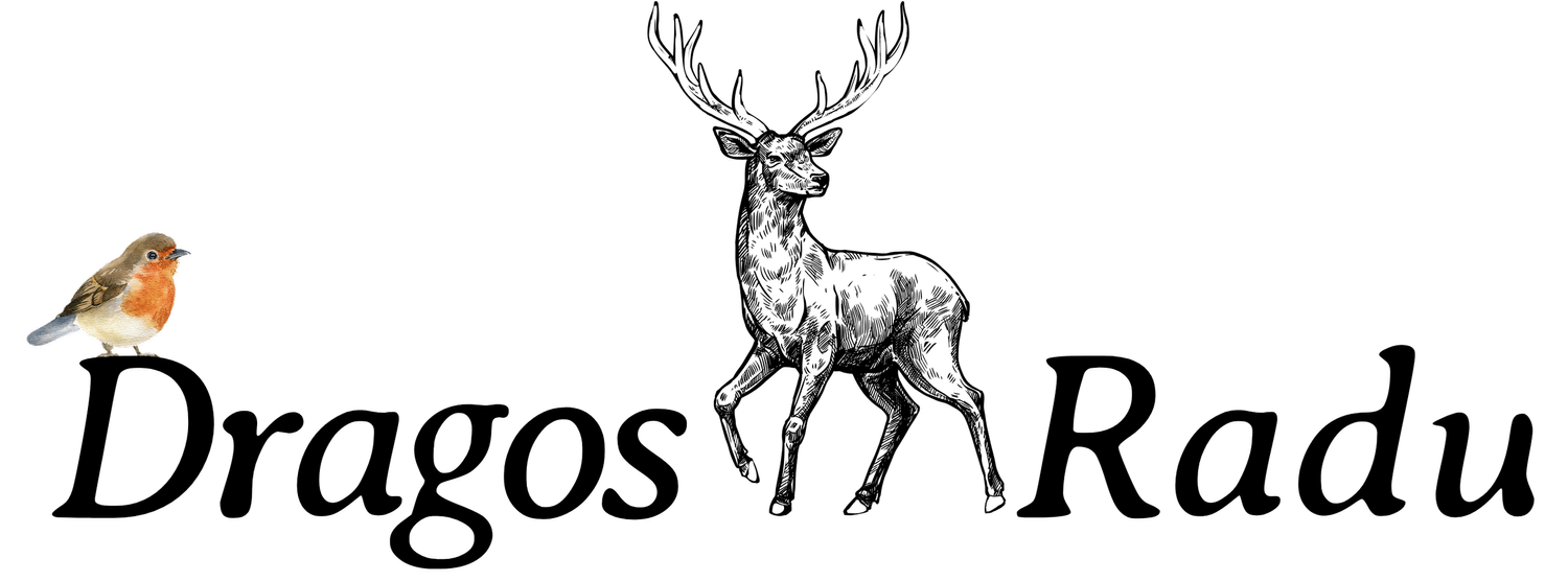 dragosradu.com