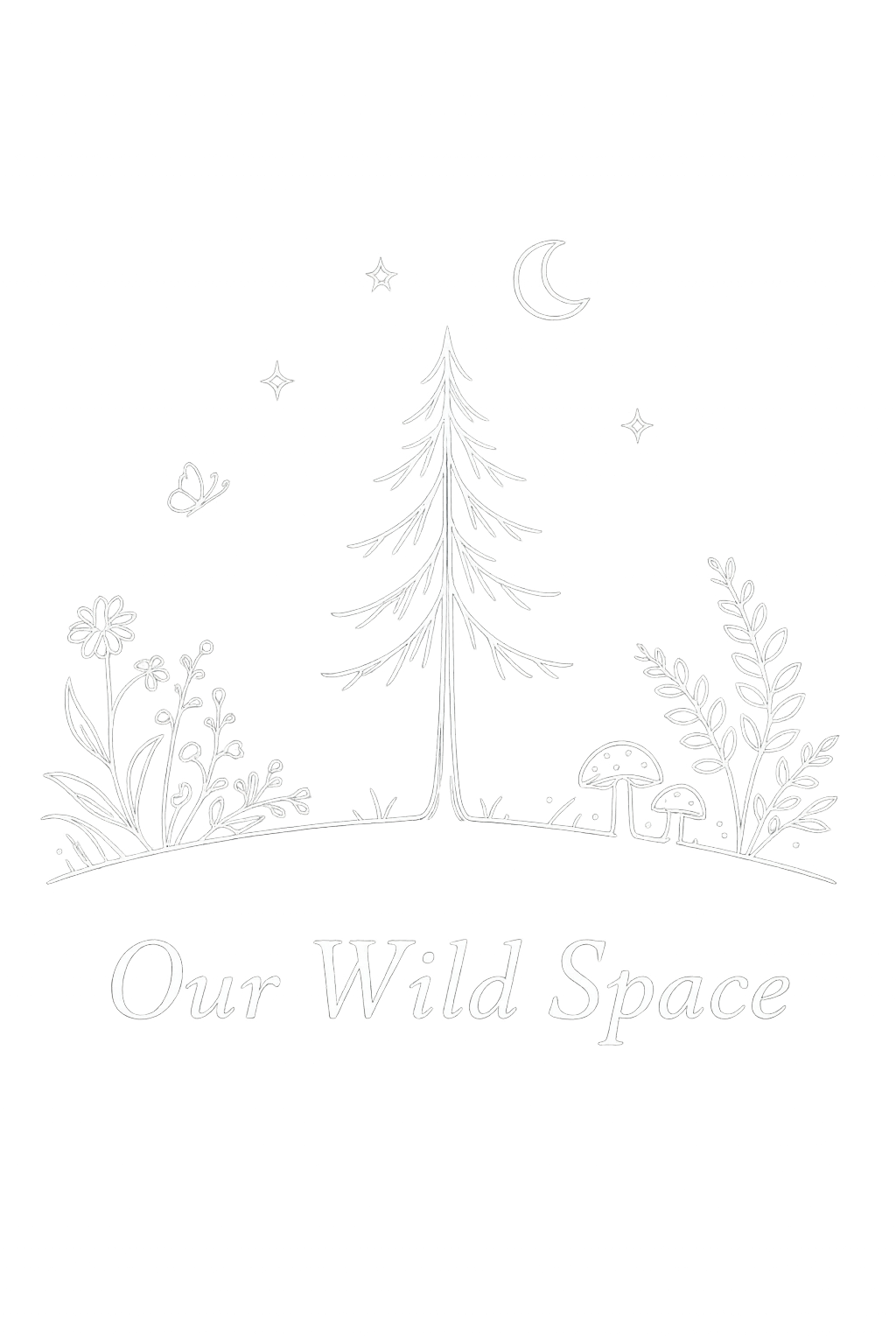 Our Wild Space