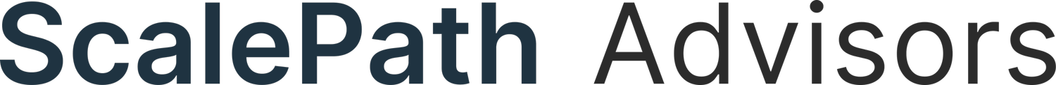 ScalePath Advisors